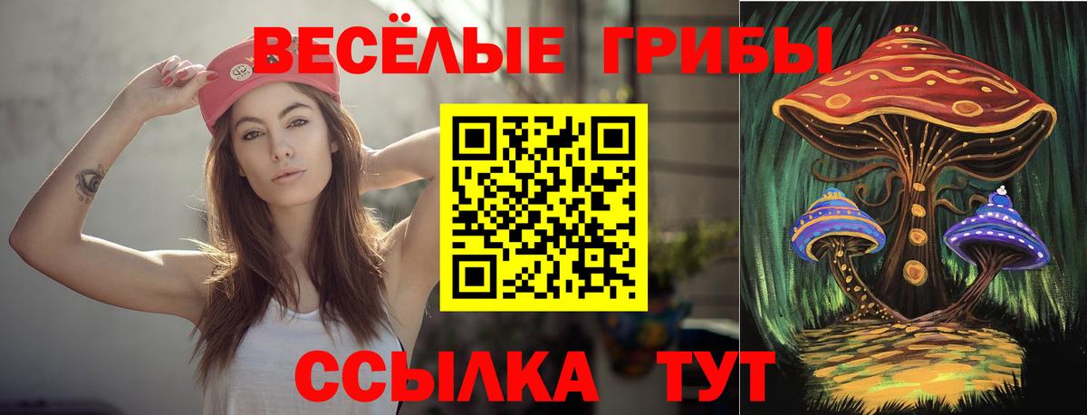 Псилоцибиновые грибы GOLDEN TEACHER Тихвин